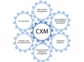 Forrester's expanded view of web content called customer experience management (CXM)