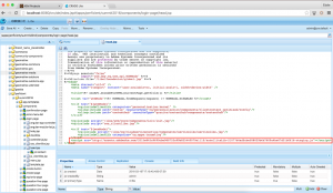 intergating adobe dynamic tag management in crxde lite